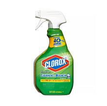 Load image into Gallery viewer, Clorox Clean-Up
